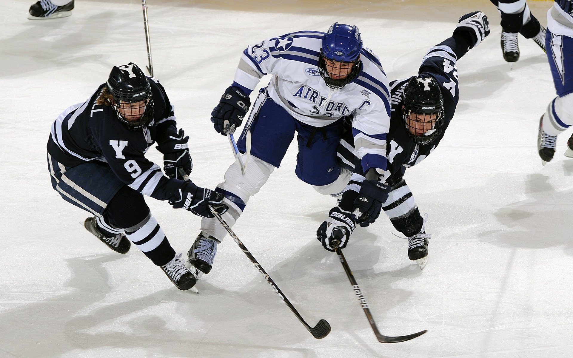 igame在线玩-动物与人类体操：动物元素的运动趣味，动物体操儿歌视频大全
